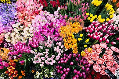 《终焉之莉莉：骑士寂夜》销量突破140万 Steam特别好评