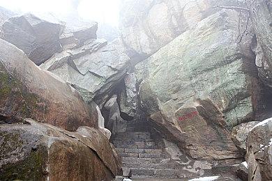 穿越时间的旅程 《刺客信条》15周年宣传片公开